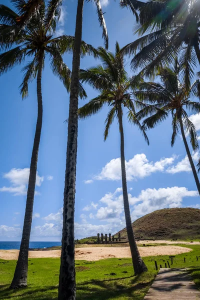 Anakena plage de palmiers et Moais statues site ahu Nao Nao, Pâques est — Photo