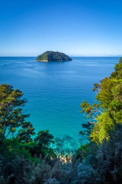 Parça görünümü Abel Tasman Ulusal Parkı, Yeni Zelanda