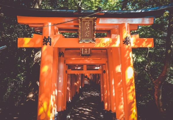 Fushimi Inari Taisha torii, Kyoto, Japan — Stockfoto