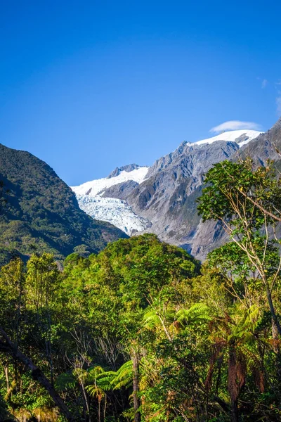 Franz Josef παγετώνα και τροπικό δάσος, Νέα Ζηλανδία — Φωτογραφία Αρχείου