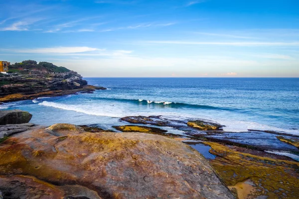 TamArama Beach, Sidney, Avustralya — Stok fotoğraf