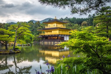 Kinkaku-ji altın Tapınak, Kyoto, Japonya