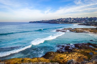 Bronte ve Tamarama plajları, Sidney, Avustralya