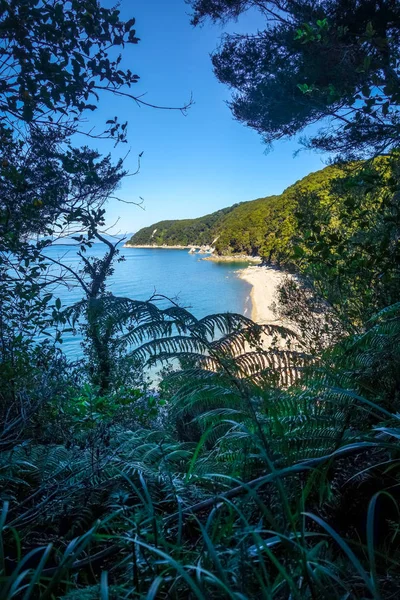 Parça görünümü Abel Tasman Ulusal Parkı, Yeni Zelanda — Stok fotoğraf