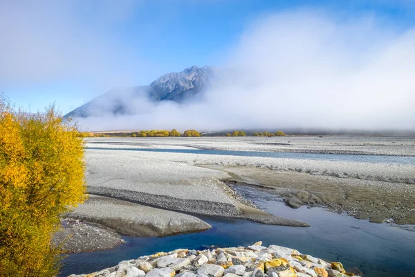 Sarı orman ve nehir Yeni Zelanda dağları — Stok fotoğraf