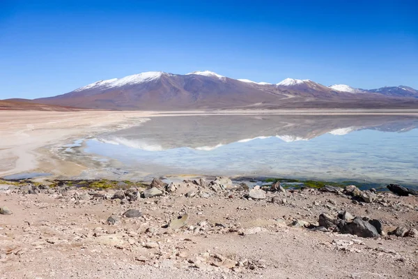 Clear altiplano laguna in sud Lipez reserva, Bolivia — Stock Photo, Image