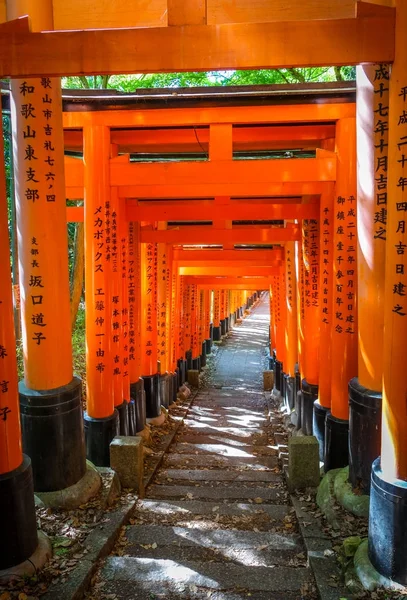 Fushimi Inari Taisha torii, Kyoto, Japón — Foto de Stock