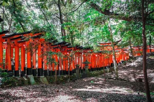 Fushimi Inari Taisha torii, Kyoto, Japan — Stockfoto