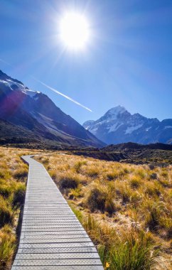 Fahişe Vadisi parça, Aoraki Mount Cook, Yeni Zelanda