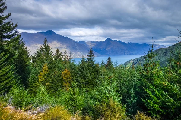 Lake Wakatipu en berg bos, Nieuw-Zeeland — Stockfoto