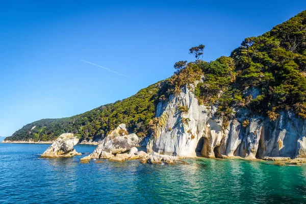 Creek en el Parque Nacional Abel Tasman, Nueva Zelanda — Foto de Stock