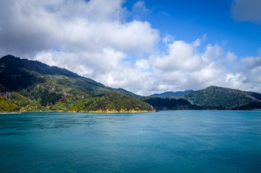 Marlborough Sesleri, Yeni Zelanda