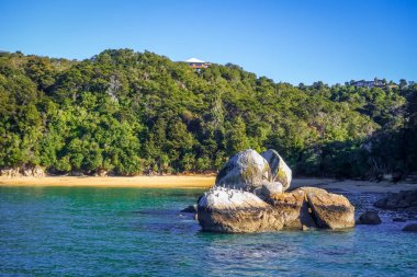 Yuvarlak taş boulder Abel Tasman Ulusal Parkı, Yeni Zelanda