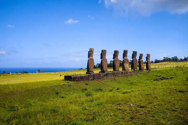 Estátuas de Moais, ahu Akivi, ilha da Páscoa — Fotografia de Stock