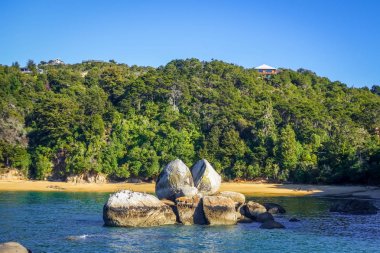 Yuvarlak taş boulder Abel Tasman Ulusal Parkı, Yeni Zelanda