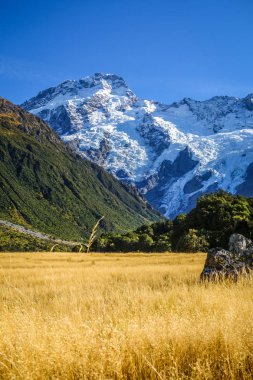 Mount Cook Vadisi manzara, Yeni Zelanda