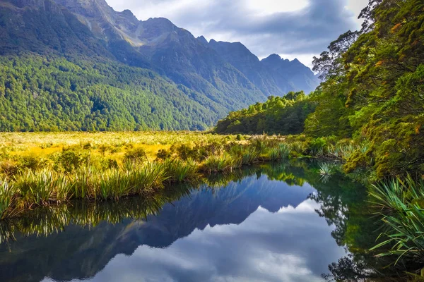 Lake in het nationaal park Fiordland, Nieuw-Zeeland — Stockfoto