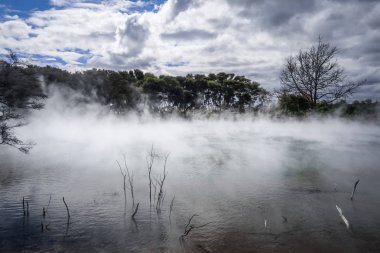 Sisli göl ve orman Rotorua, Yeni Zelanda