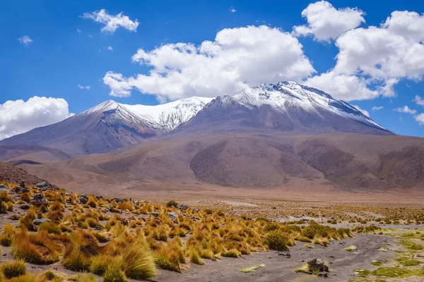 Montañas del Altiplano en sud Lipez reserva, Bolivia — Foto de Stock