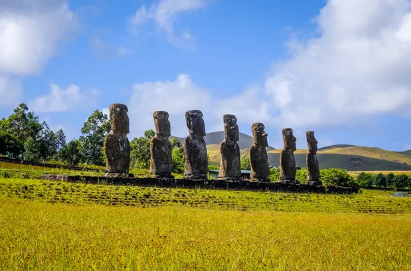 Moais heykeller, ahu Akivi, Paskalya Adası — Stok fotoğraf