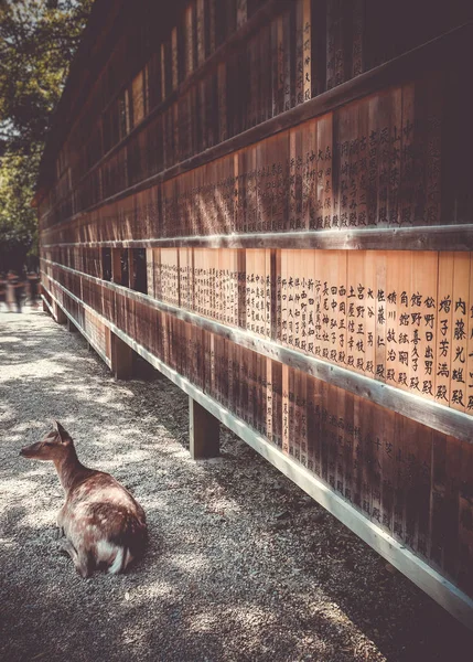 Deer in front of Wooden tablets, Nara, Japan — Stock Photo, Image