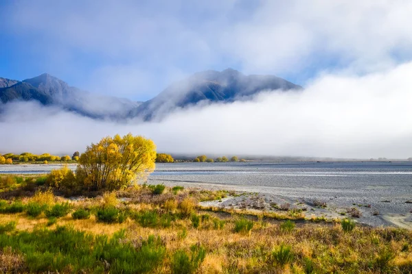 Bosque amarillo y río en las montañas de Nueva Zelanda —  Fotos de Stock