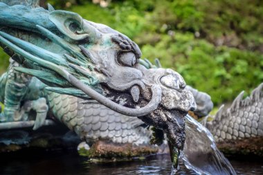 Geleneksel Japon ejderha Çeşmesi, Nikko, Japonya