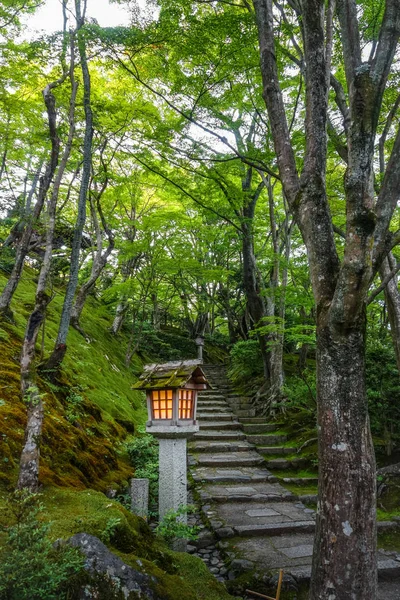 Lampa w świątyni Jojakko-ji, Kioto, Japonia — Zdjęcie stockowe