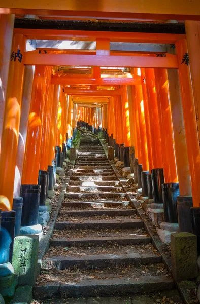 Fushimi Inari Taisha torii, Kyoto, Japão — Fotografia de Stock