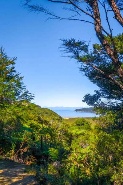 Vue sur piste dans le parc national Abel Tasman, Nouvelle-Zélande — Photo