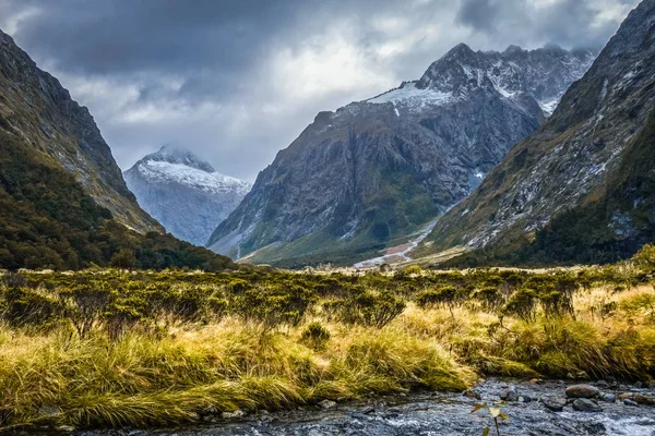 Река в Национальном парке Fiordland, Новая Зеландия — стоковое фото