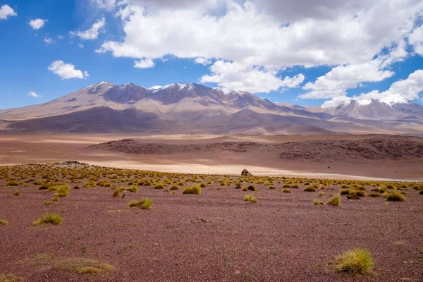 Sud Lipez reserva, Bolivya dağlarında Altiplano — Stok fotoğraf