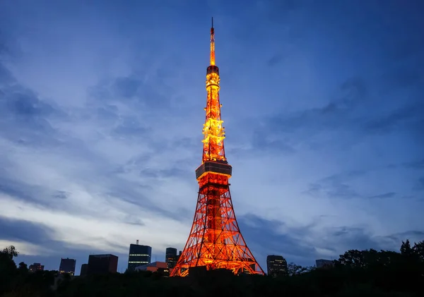 Tokyo tower v noci, Japonsko — Stock fotografie