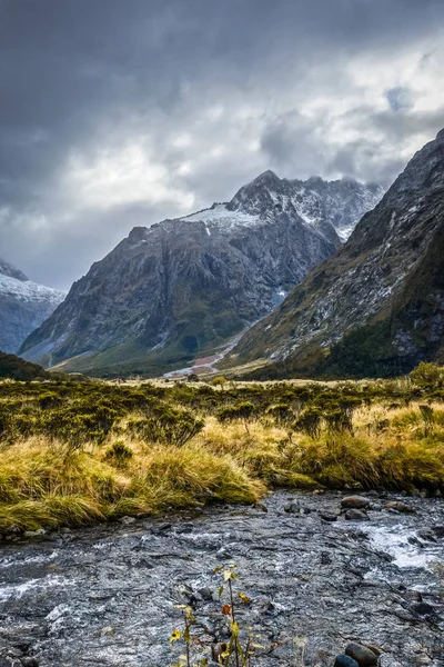 Rivier in het nationaal park Fiordland, Nieuw-Zeeland — Stockfoto