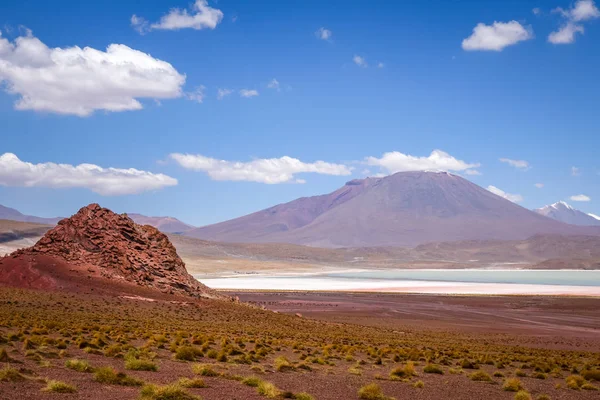 Laguna Honda in sud Lipez Altiplano reserva, Bolivia — Stok fotoğraf