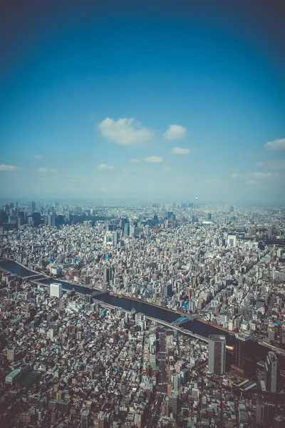 Tokyo şehir manzarası havadan görünümü, Japonya — Stok fotoğraf