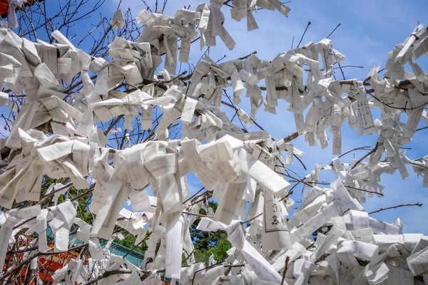 Omikuji δέντρο στο Heian Jingu ιερό ναό, Κιότο, Ιαπωνία — Φωτογραφία Αρχείου