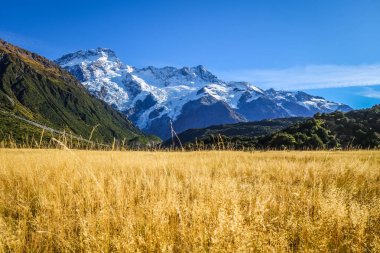Mount Cook Vadisi manzara, Yeni Zelanda