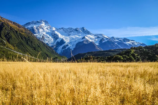 Mount Cook údolí krajina, Nový Zéland — Stock fotografie