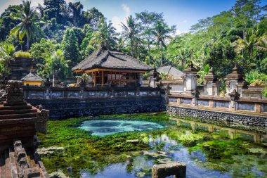 Pura Tirta Boş Tapınağı, Ubud, Bali, Endonezya