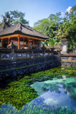 Pura Tirta Boş Tapınağı, Ubud, Bali, Endonezya