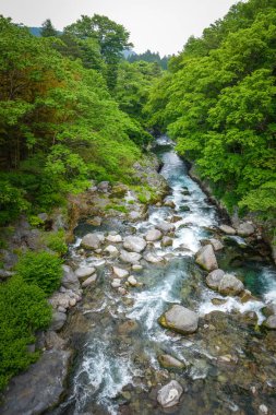 kanmangafuchi uçurum, nikko, Japonya