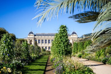 Jardin des plantes Park ve müze, Paris, Fransa