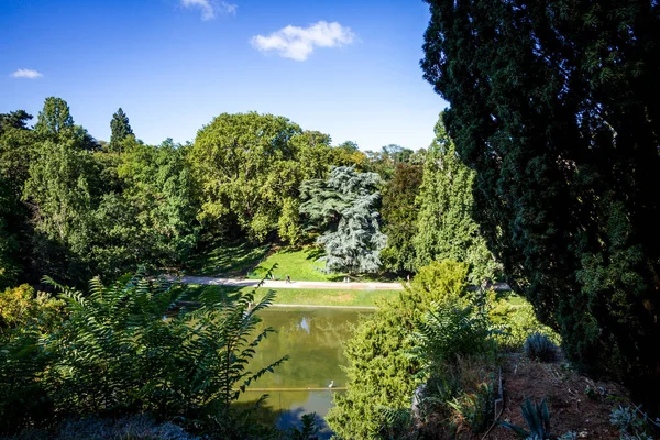 Pond in Buttes-Chaumont Park, Paris — стокове фото