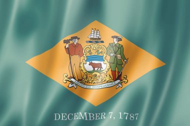 Delaware bayrağı, Usa