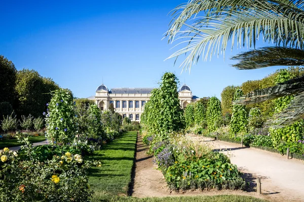 Jardin des plantes Park and museum, Párizs, Franciaország — Stock Fotó