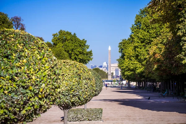 Jardín de las Tullerías, Obelisco y arco triunfal, París, Francia — Foto de Stock