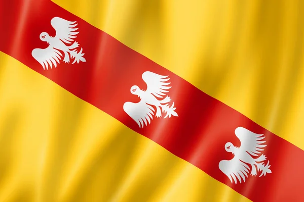 Lotharingen Vlag Frankrijk Zwaaiend Met Banner Collectie Illustratie — Stockfoto