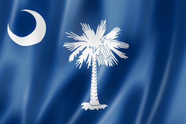 Güney Carolina bayrağı, Birleşik Devletler bayrak koleksiyonu. 3B illüstrasyon