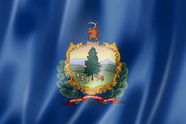 Bandeira Vermont Estados Unidos Acenando Coleção Banners Ilustração — Fotografia de Stock